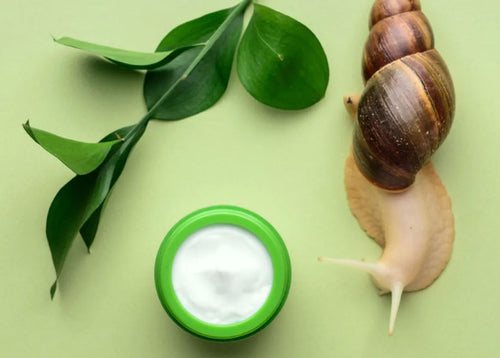 Creme aus Schneckenschleim: Anwendung und Erfahrungen